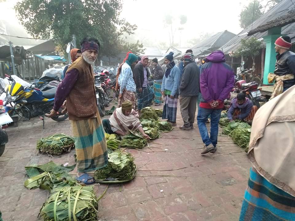 কলারোয়ার পানের বরজ ব্যবসায়ীদের মাথায় হাত