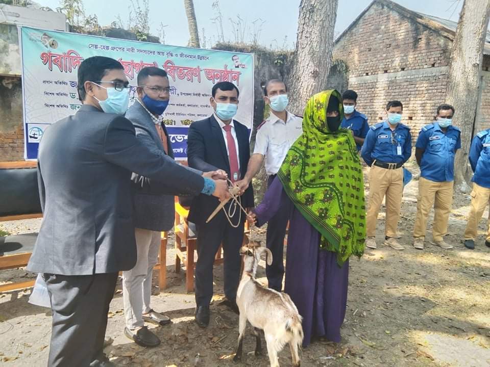 যুগীখালী ইউনিয়নের সেল্প-হেল্প গ্রুপের ৩০ জন নারী সদস্যদের মাঝে ছাগল