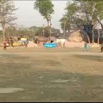 কলারোয়ায় প্রীতি ক্রিকেট ম্যাচে উপজেলা নির্বাহী একাদশ ৮২ রানে জয়ী