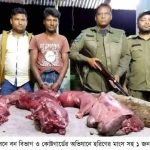 সুন্দরবনে বন বিভাগ ও কোষ্টগার্ডের যৌথ অভিযানে হরিণের মাংস সহ ১ জন আটক