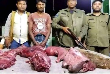 সুন্দরবনে বন বিভাগ ও কোষ্টগার্ডের যৌথ অভিযানে হরিণের মাংস সহ ১ জন আটক