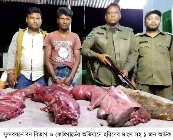 সুন্দরবনে বন বিভাগ ও কোষ্টগার্ডের যৌথ অভিযানে হরিণের মাংস সহ ১ জন আটক