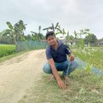 কলারোয়ায় সবুজায়নের লক্ষ্যে বৃক্ষ রোপণ