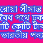কলারোয়া সীমান্তের অবৈধ পথ দিয়ে ঢুকছে কোটি কোটি টাকার ভারতীয় পন্য