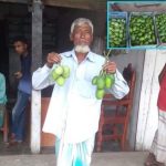 আমের রাজধানী বেলতলায় আম বেচাকেনা শুরু