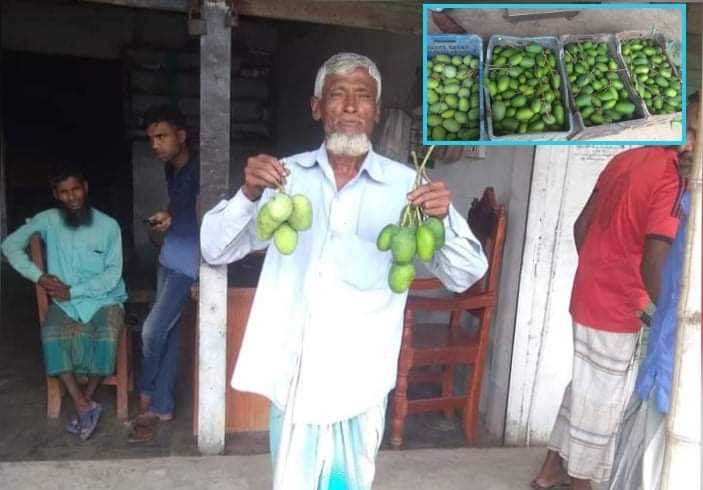 আমের রাজধানী বেলতলায় আম বেচাকেনা শুরু
