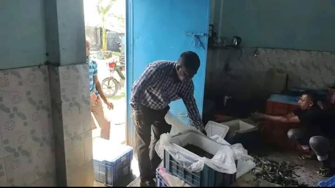 পাইকগাছার কপিলমুনি মাছে অপদ্রব্য পুশ করার অপরাধে জরিমানা আদায়