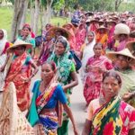 দৈনিক মজুরি বাড়ানোর পর কাজে ফিরেছেন চা শ্রমিকরা