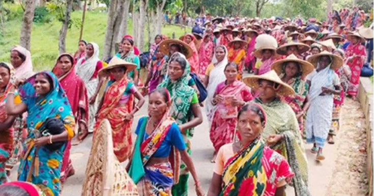 দৈনিক মজুরি বাড়ানোর পর কাজে ফিরেছেন চা শ্রমিকরা