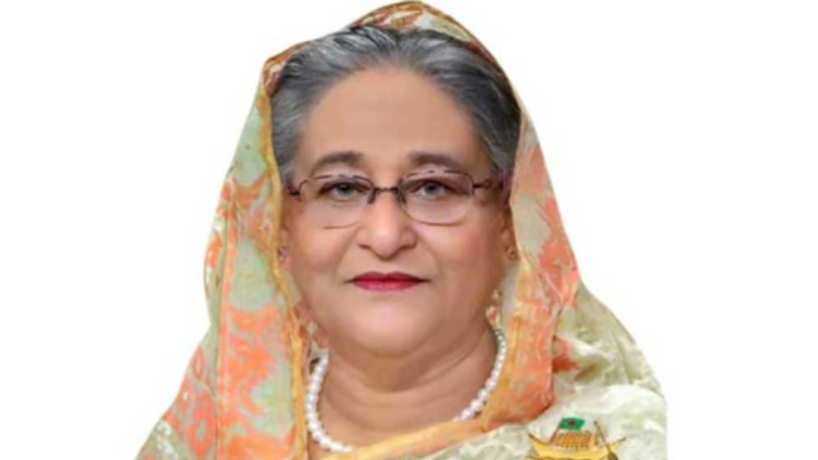 ঢাকায় পৌঁছেছেন প্রধানমন্ত্রী