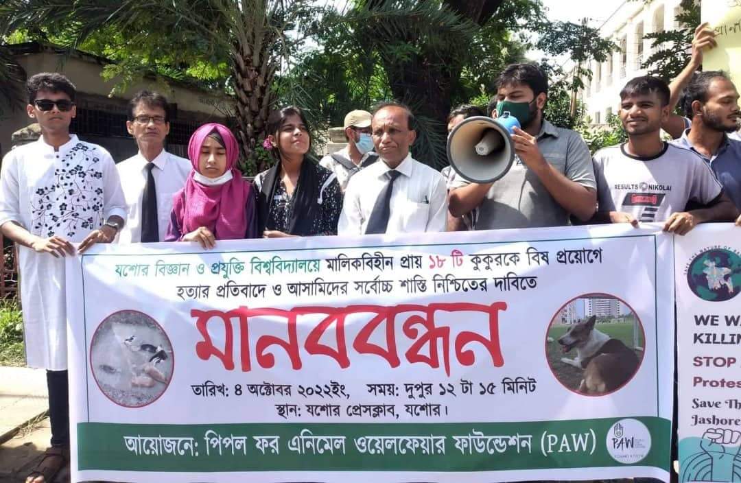 যবিপ্রবিতে কুকুর হত্যা, প্রাণী অধিকারকর্মী ও শিক্ষার্থীদের প্রতিবাদ মানববন্ধন