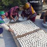 কলারোয়ায় কুমড়ো বড়ি তৈরির ধুম