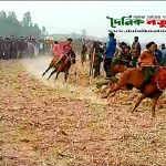 বিরামপুরে ঐতিহ্যবাহী ঘোড়া দৌড় প্রতিযোগিতা অনুষ্ঠিত