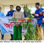 কয়রায় গাঁজা গাছ সহ মাদক ব্যবসায়ী আটক