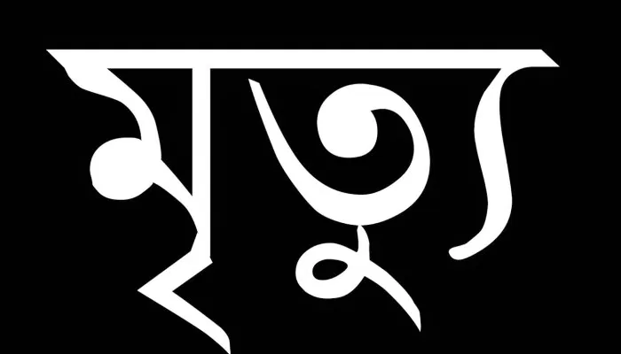 কলারোয়ায় মুক্তিযুদ্ধের অন্যতম সংগঠক প্রয়াত মমতাজ আহমেদের সহধর্মিণীর ইন্তেকাল