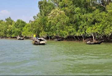 পারমিট ছাড়াই সুন্দরবনে পারসে পোনা আহরন বন বিভাগের ভুমিকা রহস্যজনক