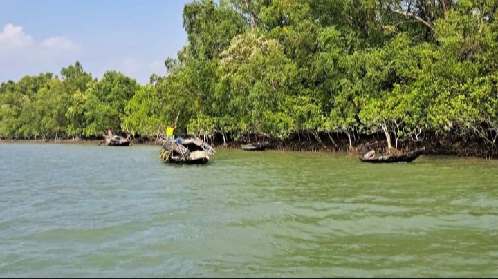 পারমিট ছাড়াই সুন্দরবনে পারসে পোনা আহরন বন বিভাগের ভুমিকা রহস্যজনক