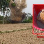 কলারোয়ায় ১৯৭১ সালে মুক্তিযুদ্ধের সময় মাইন সেলটি নিষ্ক্রিয় করেছে র‍্যাব