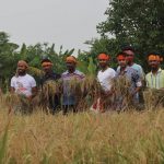 কয়রায় কৃষকের ধান কেটে বাড়ি পৌঁছে দিলো উপজেলা ছাত্রলীগ।
