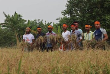 কয়রায় কৃষকের ধান কেটে বাড়ি পৌঁছে দিলো উপজেলা ছাত্রলীগ।