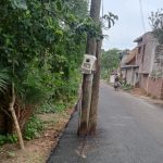 কলারোয়ায় রাস্তার উপর বিদ্যুতের খুঁটি রেখে সড়কের কাপেটিং এর কাজ শেষ