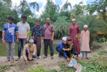 নতুন সূর্যের সহ-সম্পাদক মোর্তজার জন্মদিন উপলক্ষ্যে বৃক্ষরোপণ