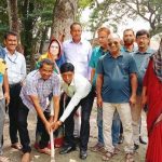 কলারোয়া বলফিল্ডের চারপাশে রাস্তা ও লাইট স্থাপন কাজের উদ্বোধন