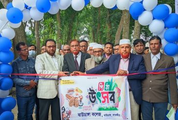 ঝাউডাঙ্গা কলেজে পিঠা উৎসব