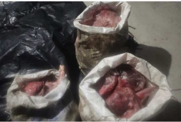 কয়রায় ২ মণ হরিণের মাংস উদ্ধার