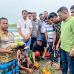 পাইকগাছার তালতলা-গোয়ালবাথানে ৩ হাজার তালগাছ রোপন উদ্বোধন করলেন বাসস চেয়ারম্যান