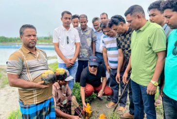 পাইকগাছার তালতলা-গোয়ালবাথানে ৩ হাজার তালগাছ রোপন উদ্বোধন করলেন বাসস চেয়ারম্যান