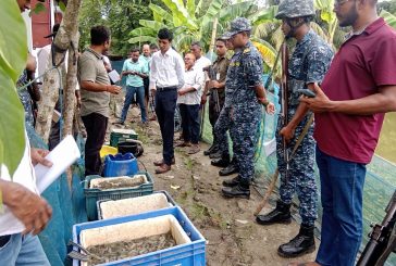 কয়রায় চিংড়িতে জেলি পুশ,৫০ হাজার টাকা জরিমানা