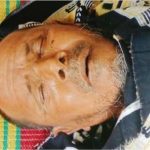 শ্যামনগরে ভীমরুলের কামড়ে কৃষকের মৃত্যু