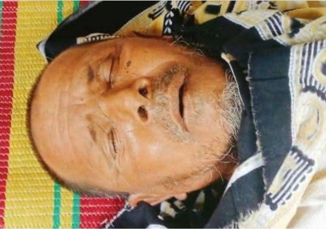 শ্যামনগরে ভীমরুলের কামড়ে কৃষকের মৃত্যু