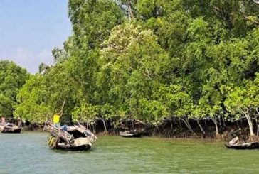 মুক্তিপণের দাবিতে সুন্দরবনের নদী থেকে চার জেলে অপহরণ
