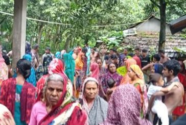 কলারোয়ায় ডোবায় পড়ে শিশুর মৃত্যু