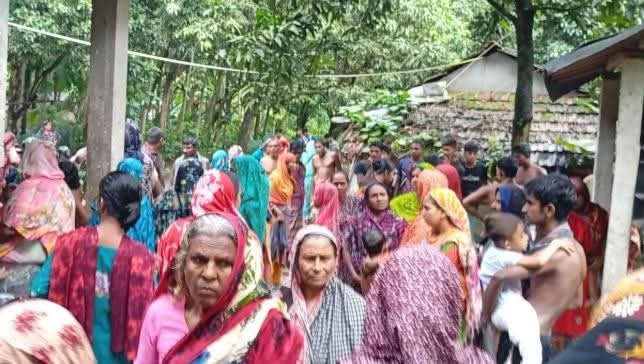 কলারোয়ায় ডোবায় পড়ে শিশুর মৃত্যু