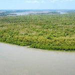 নিষেধাজ্ঞা শেষে পর্যটক ও বনজীবীদের জন্য উন্মুক্ত সুন্দরবন