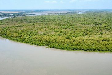 নিষেধাজ্ঞা শেষে পর্যটক ও বনজীবীদের জন্য উন্মুক্ত সুন্দরবন