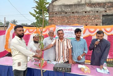 কলারোয়ায় সীমান্ত বহুমুখী সমবায় সমিতির উদ্যোগে চারা বিতরণ
