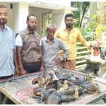 খাবারের সন্ধানে এসে প্রাণ হারাচ্ছে অতিথি পাখি