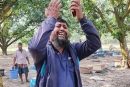 কলারোয়ায় বিষ প্রয়োগ করে মধু উৎপাদনের মৌমাছি মেরে ফেলেছে দুর্বৃত্তরা