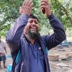 কলারোয়ায় বিষ প্রয়োগ করে মধু উৎপাদনের মৌমাছি মেরে ফেলেছে দুর্বৃত্তরা