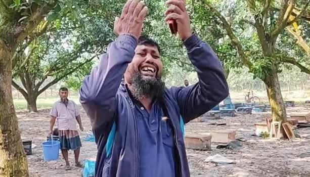 কলারোয়ায় বিষ প্রয়োগ করে মধু উৎপাদনের মৌমাছি মেরে ফেলেছে দুর্বৃত্তরা
