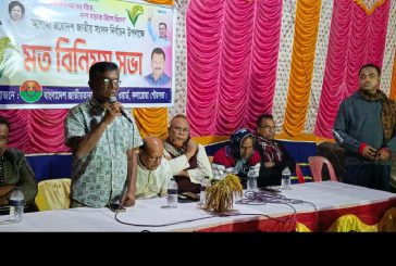 কলারোয়ায় ধানের শীষের সমর্থনে মতবিনিময় সভা