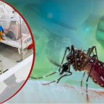 ডেঙ্গুতে ছয়জনের মৃত্যু, হাসপাতালে ভর্তি ৭৮৮