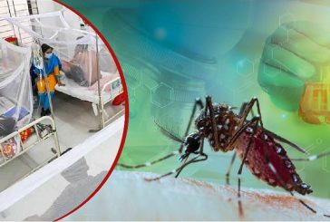 ডেঙ্গুতে ছয়জনের মৃত্যু, হাসপাতালে ভর্তি ৭৮৮