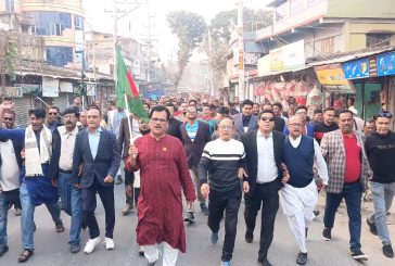 কলারোয়ায় বিএনপির বর্ণাঢ্য বিজয় র‍্যালি অনুষ্ঠিত