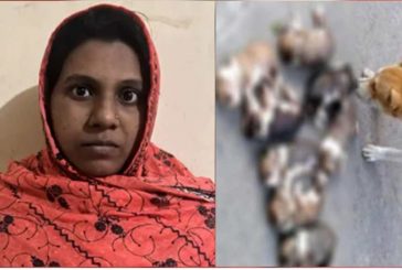 ৮ কুকুরছানা হত্যা, এবার সেই সরকারি কর্মকর্তার স্ত্রী গ্রেপ্তার