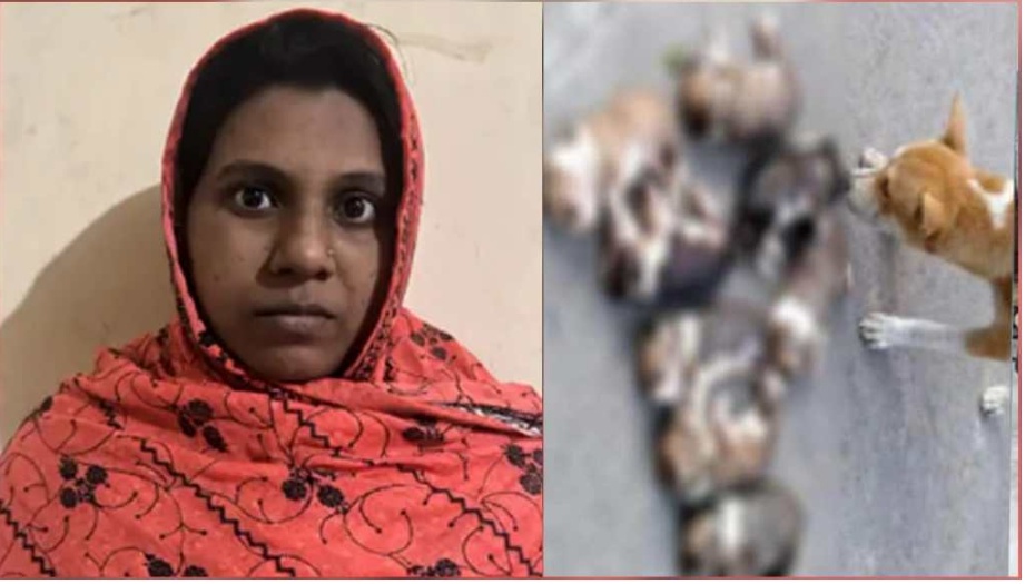 ৮ কুকুরছানা হত্যা, এবার সেই সরকারি কর্মকর্তার স্ত্রী গ্রেপ্তার